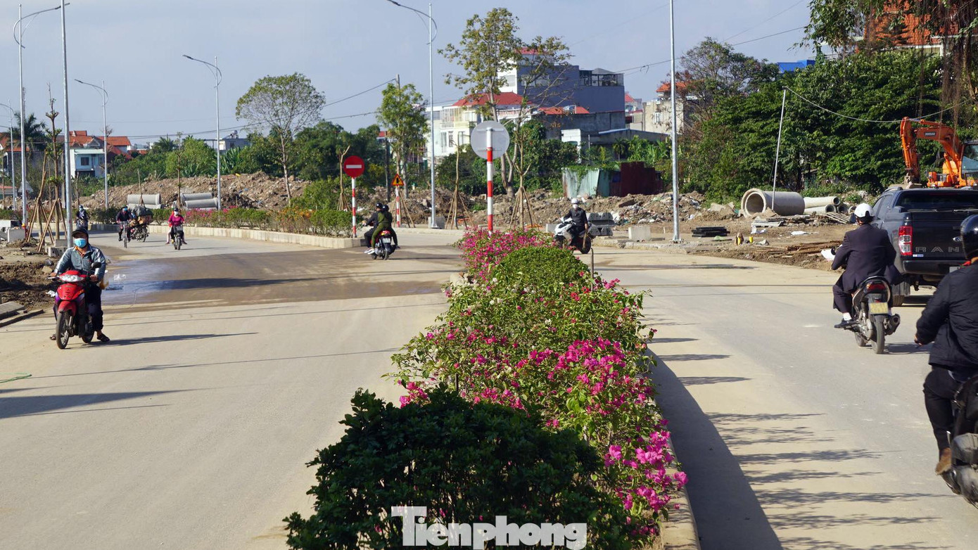 Dải phân cách giữa tuyến đường được trồng hoa giấy tạo cảnh quan thiên nhiên, đô thị.