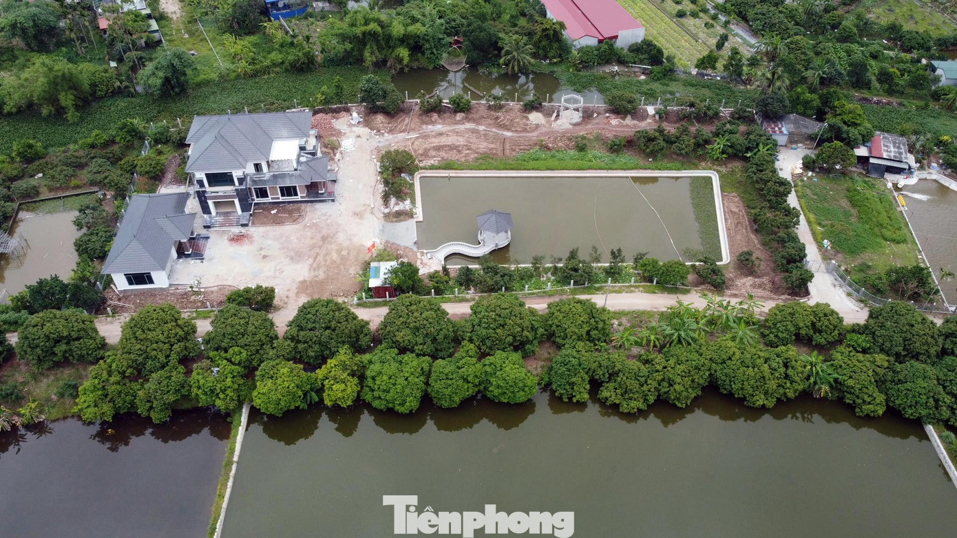 Tuy nhiên, khi TP Hải Phòng chưa hoàn thành việc giải thể doanh nghiệp này thì hàng loạt cựu cán bộ, công nhân viên công ty chuyển nhượng đất cho người ngoài quản lý, sử dụng đất nông nghiệp không đúng mục đích.