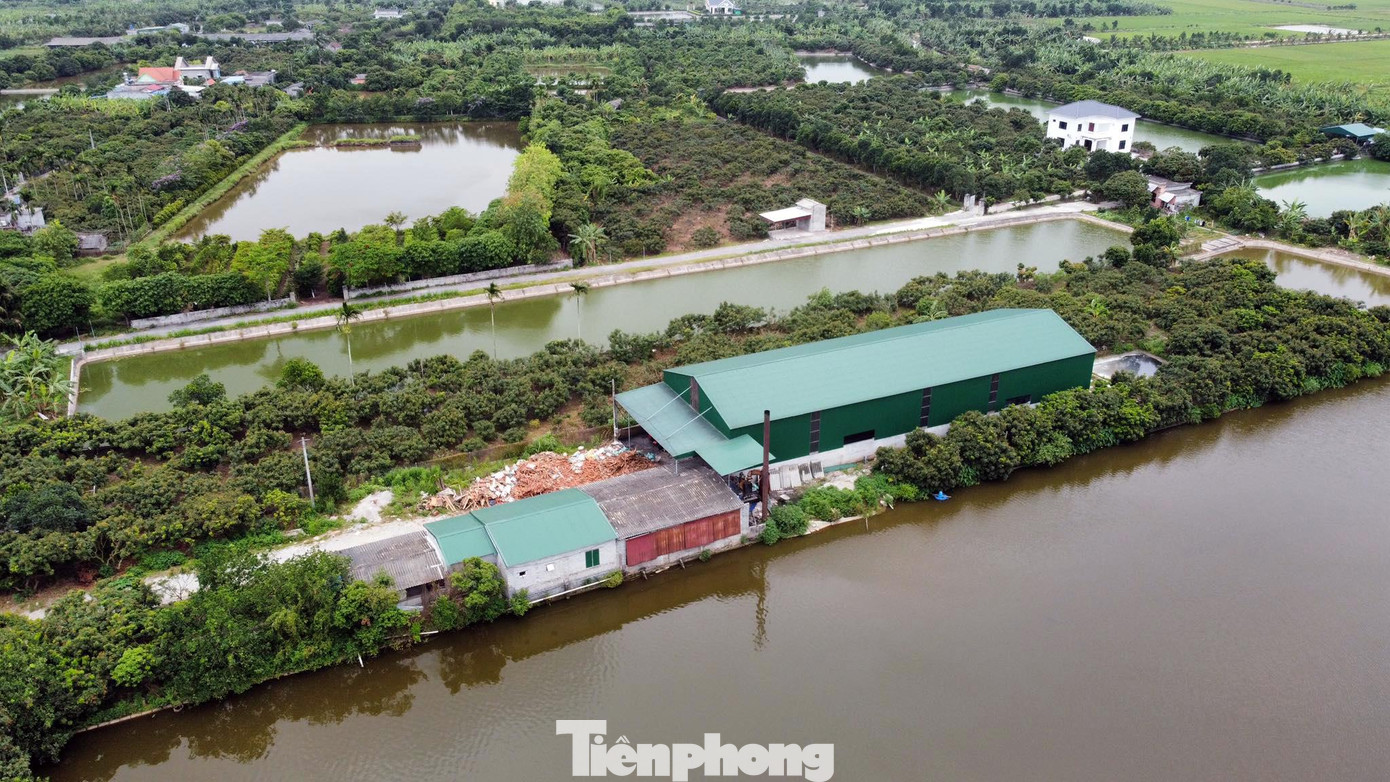 Một số khu đất nông trường được xây dựng nhà xưởng.