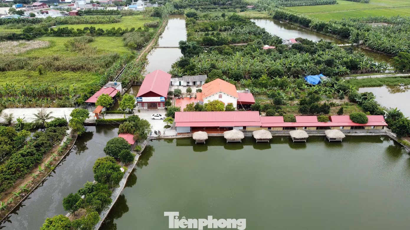 Hàng loạt biệt thự, nhà vườn, nhà hàng xây dựng trên đất nông trường Quý Cao, huyện Tiên Lãng. Hàng loạt biệt thự, nhà vườn, nhà hàng xây dựng trên đất nông trường Quý Cao, huyện Tiên Lãng.