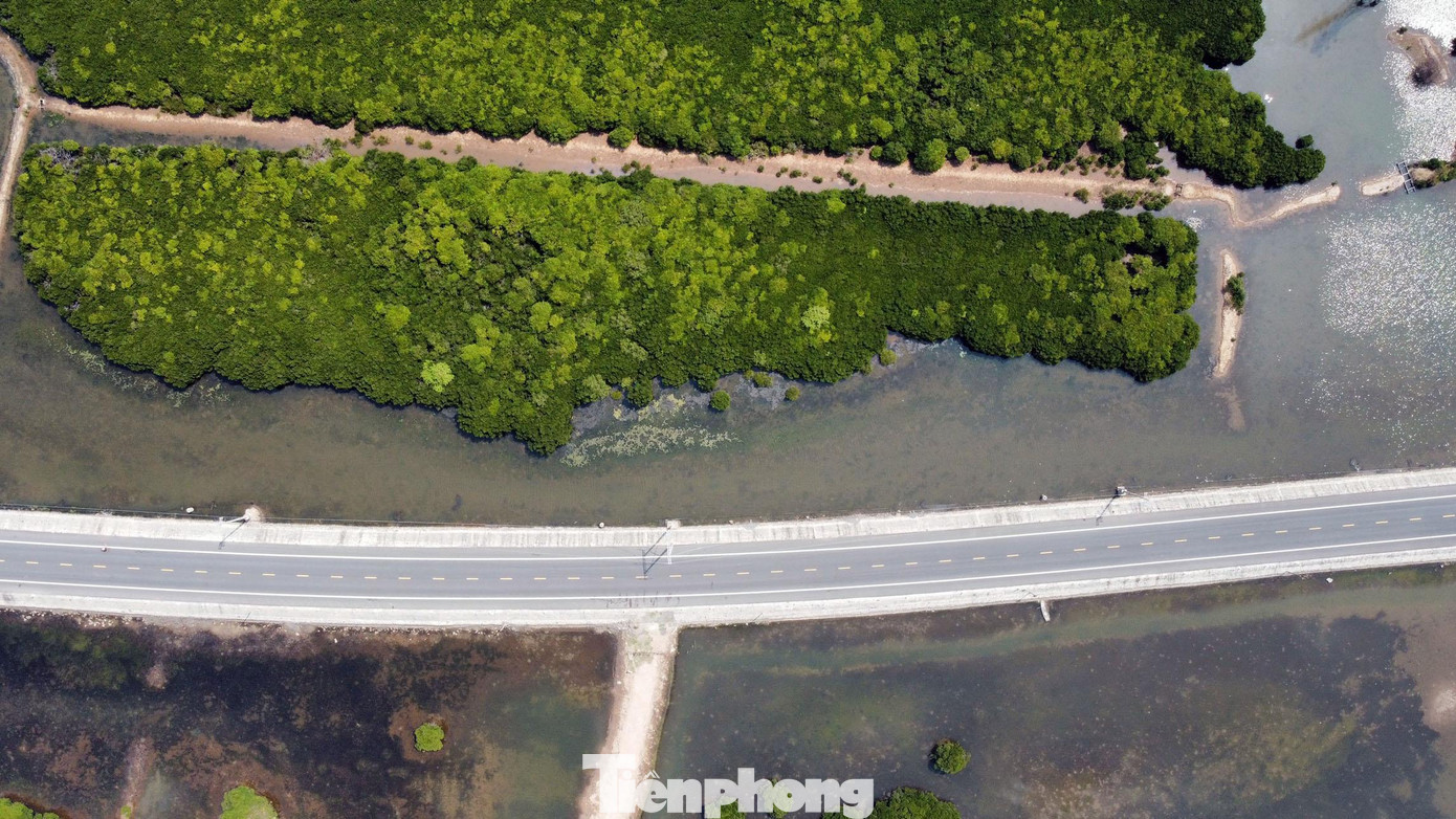 Từ trung tâm thành phố Hải Phòng qua phà Gót lên quần đảo Cát Bà, du khách sẽ được chiêm ngưỡng cảnh quan thơ mộng với rừng ngập mặn kèm thảm thực vật xanh mượt. Từ trung tâm thành phố Hải Phòng qua phà Gót lên quần đảo Cát Bà, du khách sẽ được chiêm ngưỡng cảnh quan thơ mộng với rừng ngập mặn kèm thảm thực vật xanh mượt.