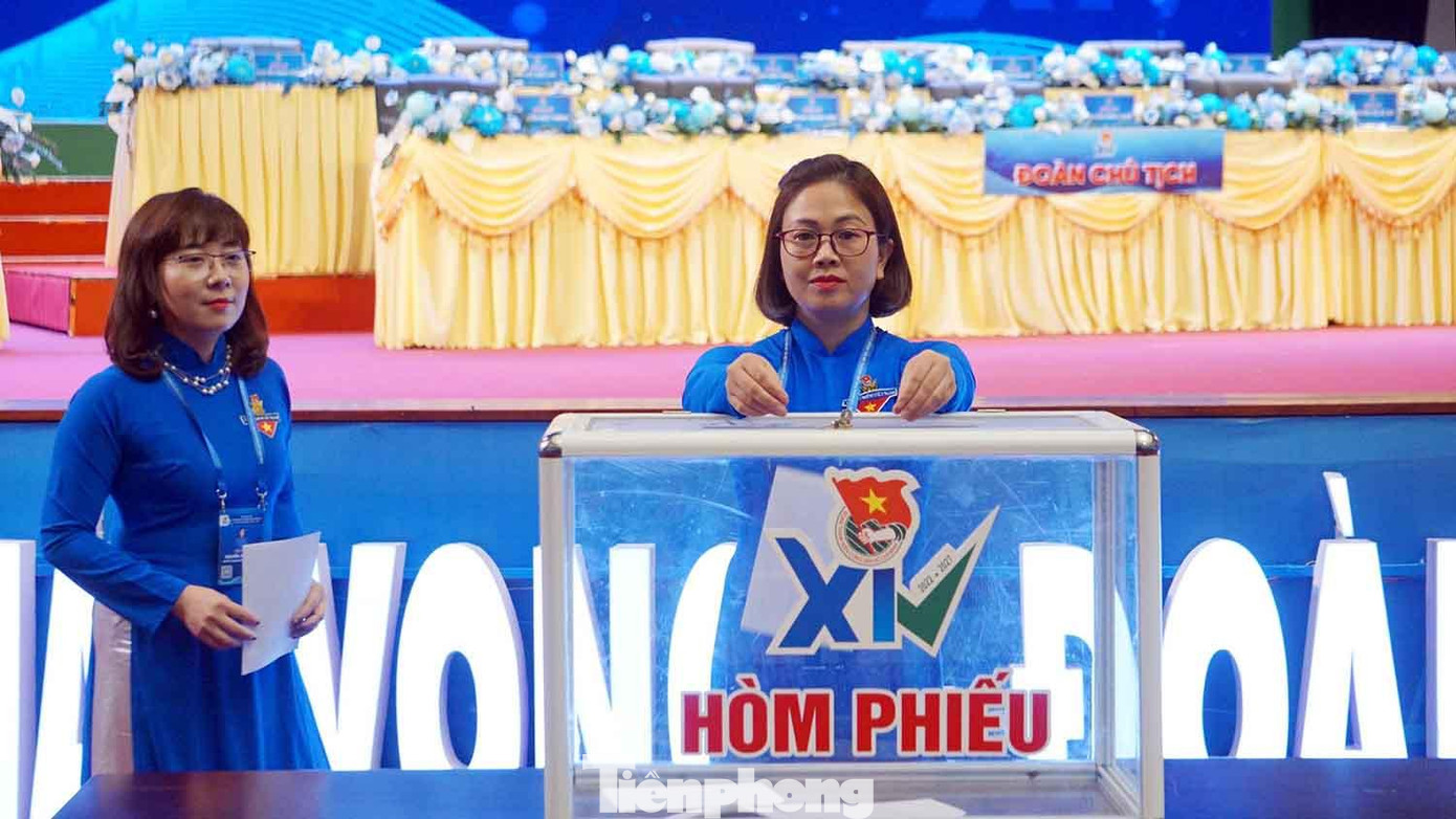 Các đại biểu đã bầu ra BCH Tỉnh Đoàn Hải Dương khóa XIV gồm 31 đại biểu (khuyết 4), Ban Thường vụ Tỉnh Đoàn gồm 9 đại biểu (khuyết 2). Các đại biểu đã bầu ra BCH Tỉnh Đoàn Hải Dương khóa XIV gồm 31 đại biểu (khuyết 4), Ban Thường vụ Tỉnh Đoàn gồm 9 đại biểu (khuyết 2).