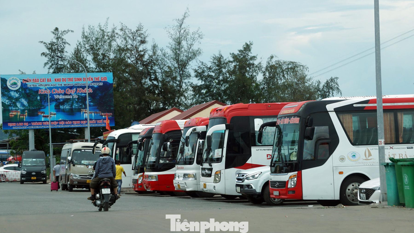 Tại bến Cái Viềng, nhiều doanh nghiệp đã bố trí ô tô khách (loại 45 chỗ) để đón những đoàn theo tour. Việc này cũng góp phần hạn chế phương tiện cá nhân lên phà ra đảo, tuy nhiên tình trạng ùn tắc vẫn tái diễn.