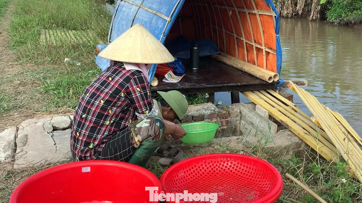 Theo ông Tuyến, trong 3 ngày chính vụ đầu tháng 11 (âm lịch), đầm rươi rộng hàng nghìn mét vuông của gia đình ông thu được hơn 1 tạ rươi tươi, thu được vài chục triệu đồng. Đây là thời điểm rươi nhiều và to béo nhất nên rươi vớt tới đâu, thương lái thu mua tới đó. Trước và sau những ngày chính vụ, ông vẫn thu hoạch được rươi nhưng ít hơn.