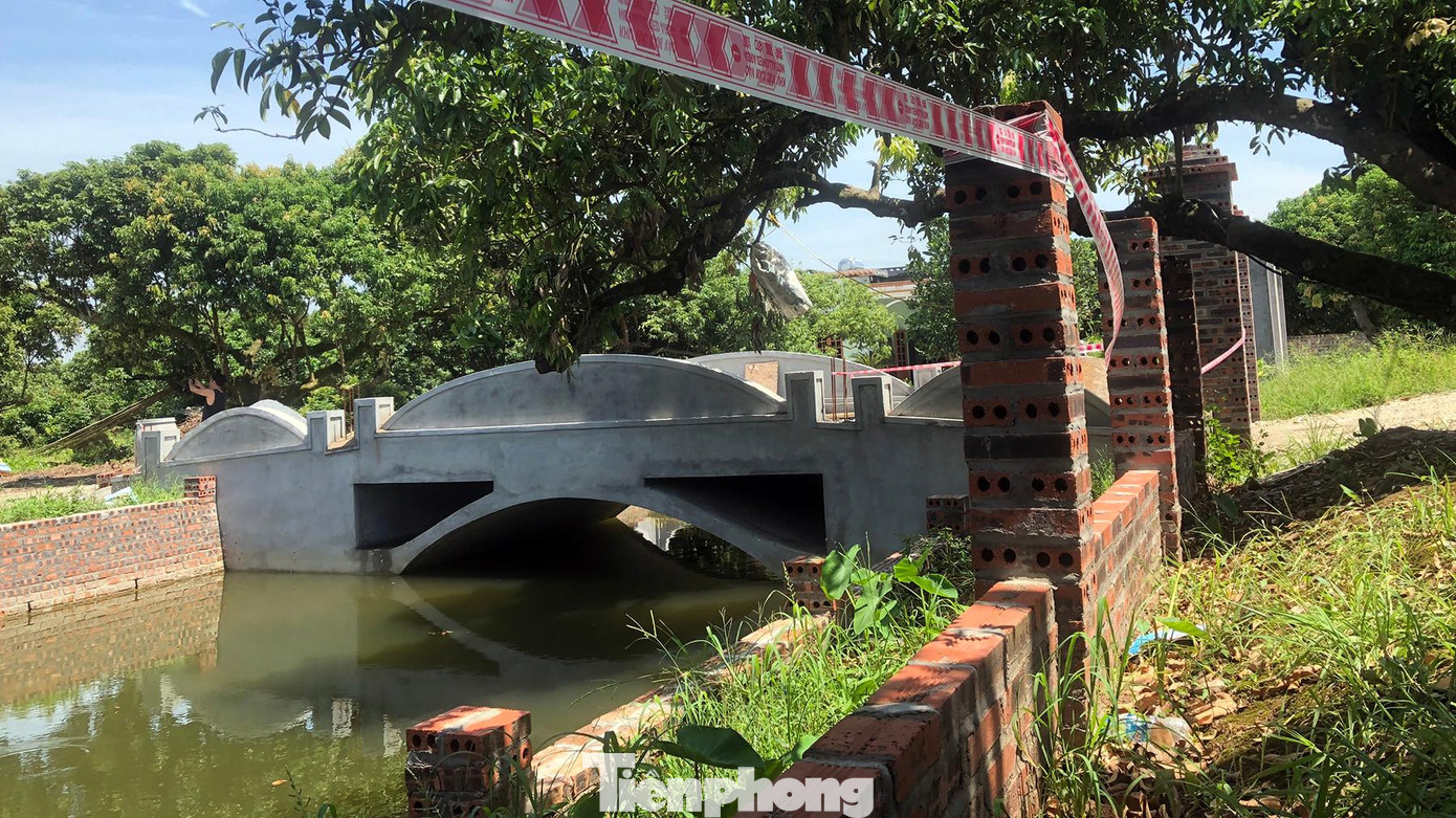 Theo Huyện Tiên Lãng, địa phương đã lập biên bản vi phạm hành chính đối với các hộ dân vi phạm từ năm 2015 đến nay. Những hộ này đã tự ý chuyển đổi mục đích sử dụng đất nông nghiệp để xây dựng nhà kiên cố, sản xuất phi nông nghiệp và kinh doanh dịch vụ.