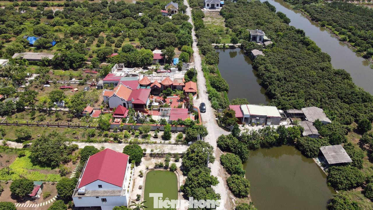 Cuối tháng 5/2022, ông Nguyễn Văn Tùng - Chủ tịch UBND TP Hải Phòng chủ trì cuộc họp, yêu cầu huyện Tiên Lãng xem xét trách nhiệm của lãnh đạo UBND xã Đại Thắng, xã Tiên Cường, lãnh đạo Công ty TNHH MTV nông nghiệp Quý Cao vì để người dân vi phạm luật đất đai, tự ý chuyển đổi mục đích sử dụng, xây dựng biệt thự, lâu đài, nhà xưởng trái phép trên đất nông trường và chậm ngăn chặn xử lý vi phạm.