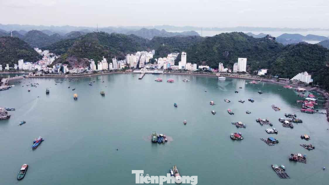 Toàn cảnh Vịnh trung tâm Cát Bà chuẩn bị được đấu giá để thực hiện Dự án khu du lịch cao cấp.