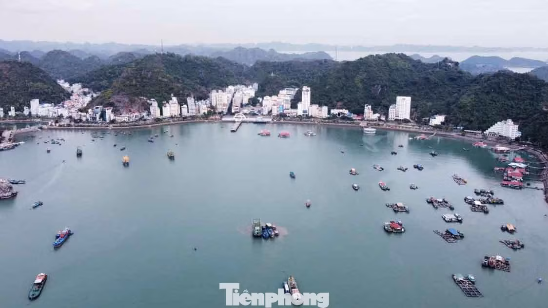 Vịnh trung tâm Cát Bà, huyện Cát Hải (TP Hải Phòng).