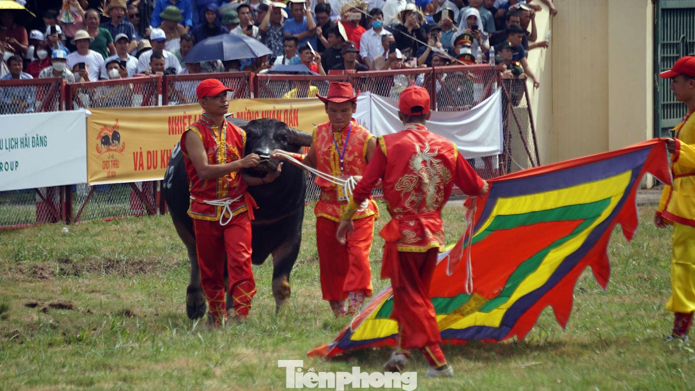 Sau lễ khai mạc, 8 kháp đấu (cặp trâu thi đấu) vòng loại để lựa chọn 4 cặp trâu vào vòng tứ kết. Nhiều kháp đấu diễn ra kịch tính, được khán giả cổ vũ cuồng nhiệt.