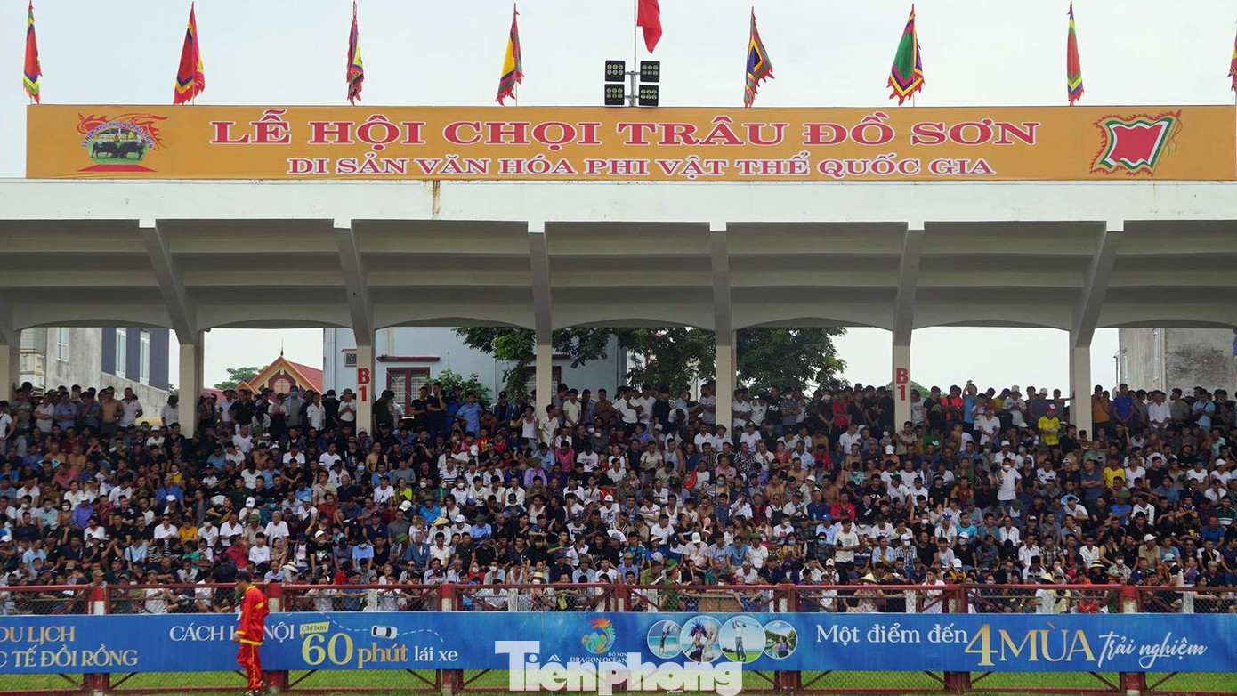 Sáng 4/9, Lễ hội chọi trâu Đồ Sơn 2022 chính thức diễn ra thi đấu với 16 ông trâu đại diện cho các phường, các chủ trâu tiêu biểu tại quận Đồ Sơn (TP Hải Phòng).