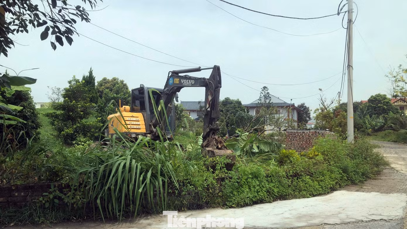Sau một tháng chỉ đạo của Chủ tịch UBND TP Hải Phòng, ngày 1/7 Công ty TNHH Tân Bình mới tháo dỡ tường bao, hoàn trả đất lấn chiếm.