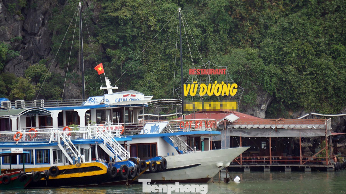 Khu kinh doanh dịch vụ ăn uống được huyện Cát Hải bố trí khu vực đối diện Bến Bèo, gần cửa biển, nơi có luồng tuyến giao thông đường thủy, nhiều tàu thuyền qua lại.