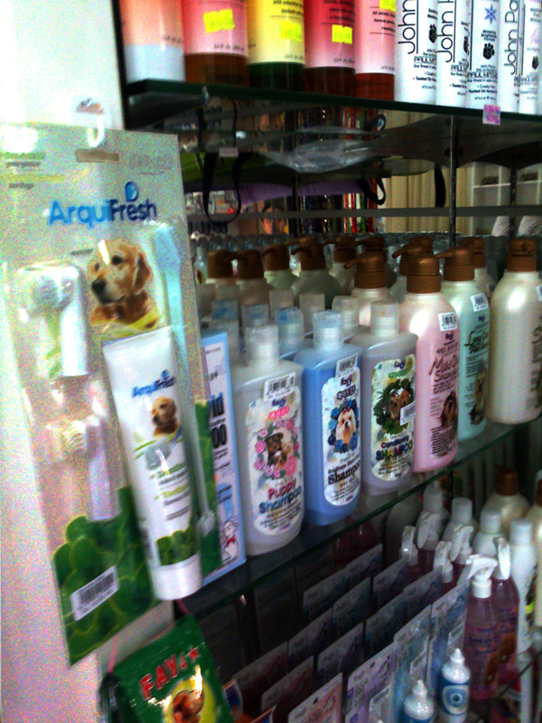 Kem đánh răng và các loại mỹ phẩm dành cho cún thành phố