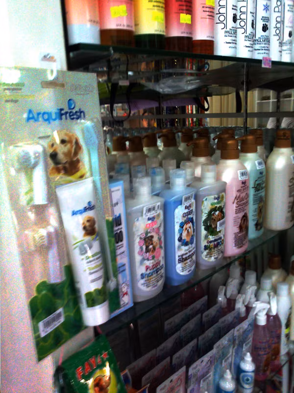 Kem đánh răng và các loại mỹ phẩm dành cho cún thành phố