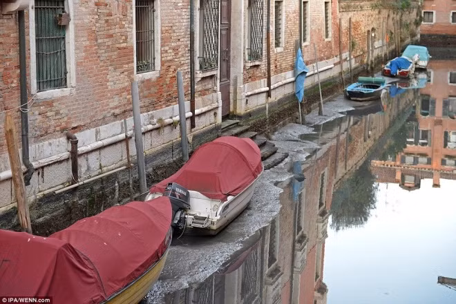 Thành phố nổi Venice có thể biến mất vì cạn nước ảnh 3