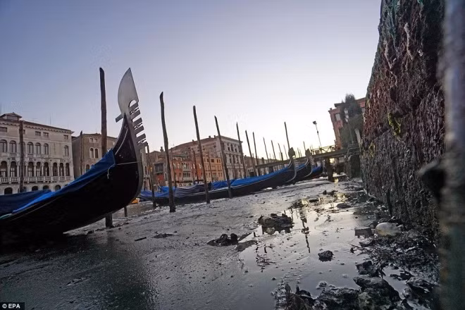 Thành phố nổi Venice có thể biến mất vì cạn nước ảnh 8