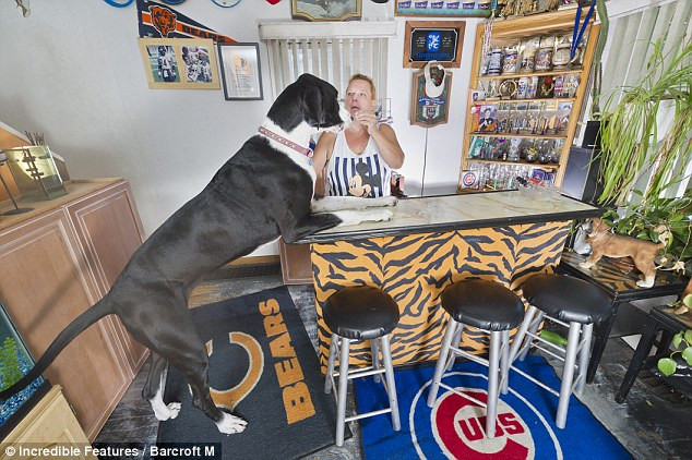 Nova ngốn hết 13kg thức ăn mỗi tuần. Nova ngốn hết 30kg thức ăn mỗi tuần