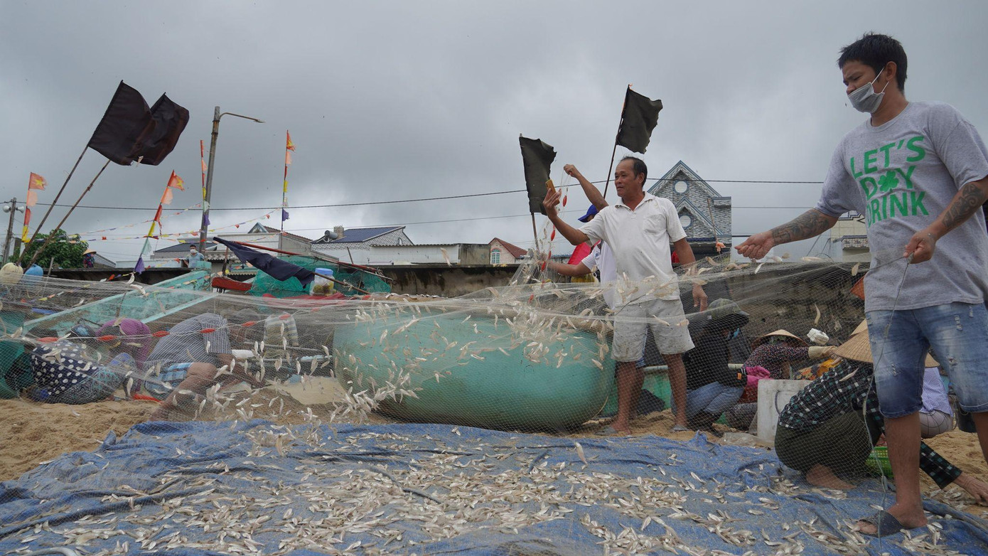 Theo UBND thị trấn Phước Hải, hiện nay tại địa phương có hơn 600 phương tiện đánh bắt cá với 1.000 ngư dân hành nghề đánh bắt gần bờ. Theo UBND thị trấn Phước Hải, hiện nay tại địa phương có hơn 600 phương tiện đánh bắt cá với 1.000 ngư dân hành nghề đánh bắt gần bờ.
