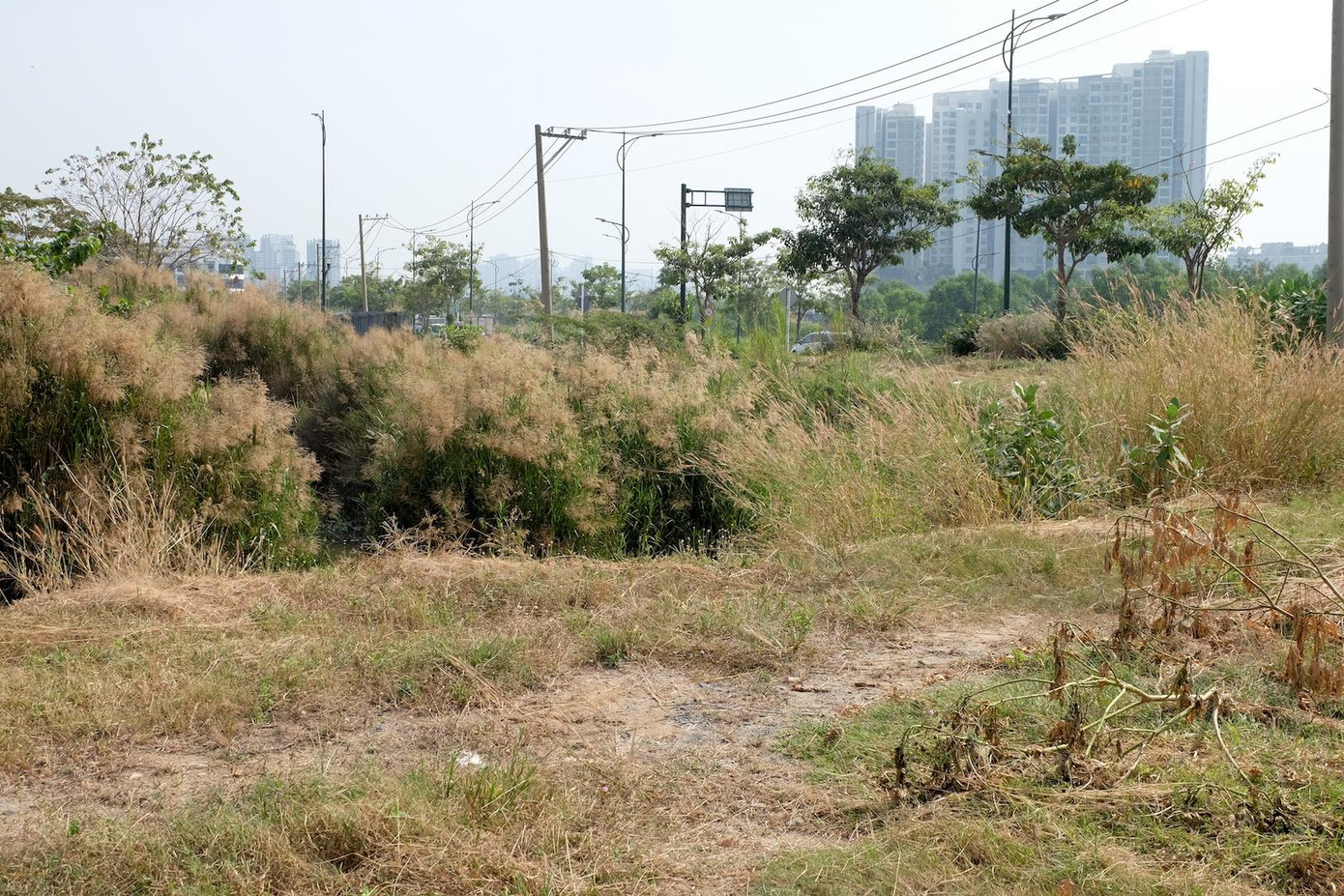 Hai doanh nghiệp còn lại đã kiến nghị các cơ quan chức năng TPHCM phương án thanh toán chậm việc nộp tiền trúng đấu giá. Hai doanh nghiệp còn lại đã kiến nghị các cơ quan chức năng TPHCM phương án thanh toán chậm việc nộp tiền trúng đấu giá.