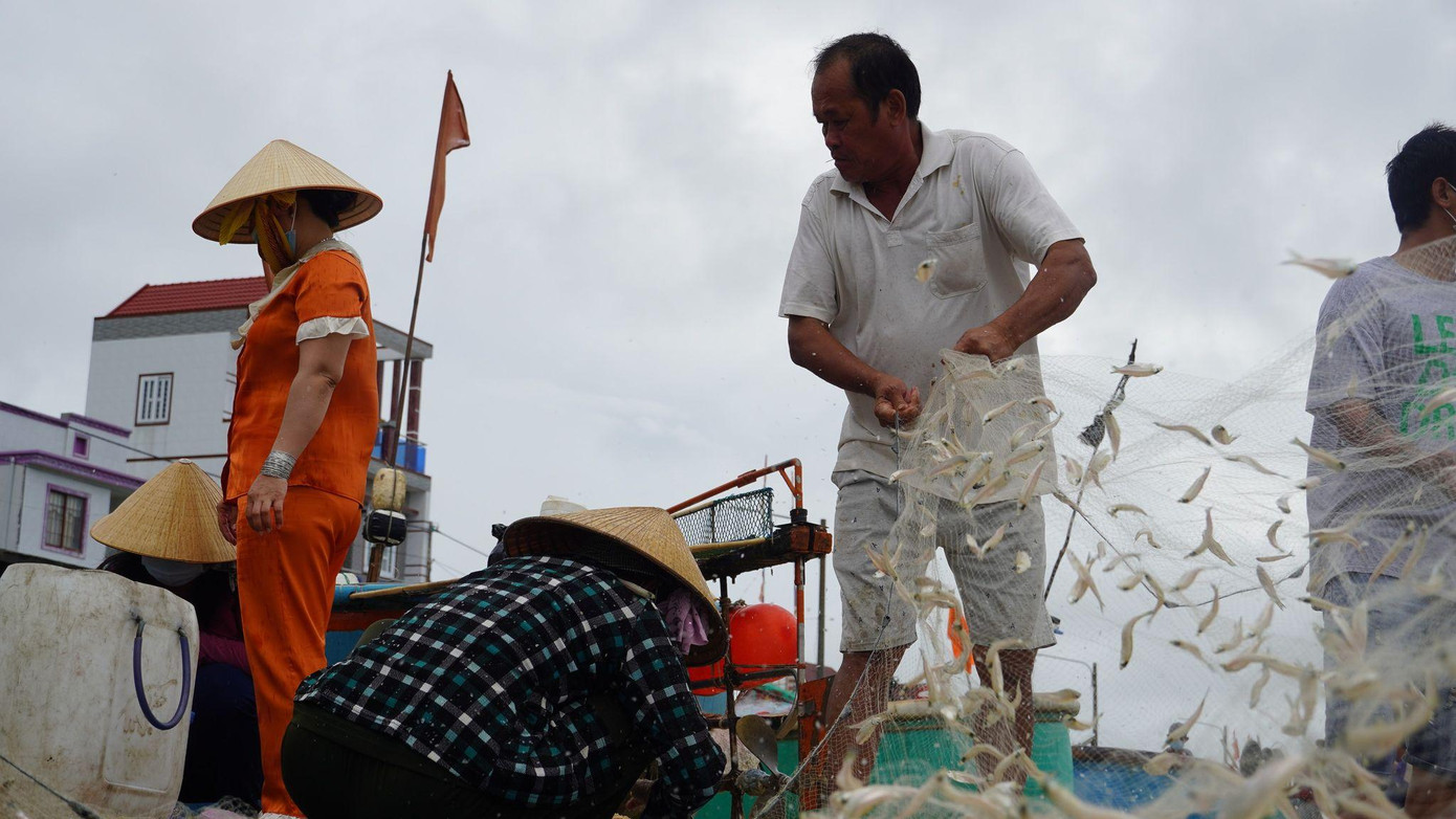 Có ngư dân chỉ đi vài tiếng đồng hồ vào bờ đã bán được 18-20 triệu đồng. Có ngư dân chỉ đi vài tiếng đồng hồ vào bờ đã bán được 18-20 triệu đồng.