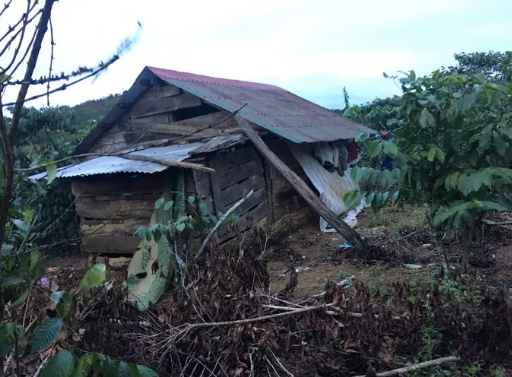 Căn chòi tại tỉnh Lâm Đồng, nơi phát hiện ông V. ở bên trong.
