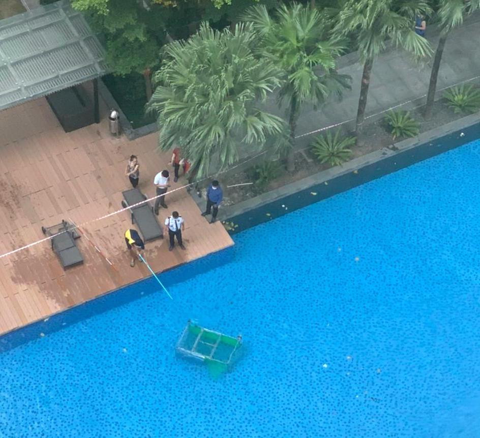 Chuồng nuôi thú của cư dân ở tầng 23, chung cư The Vista bay xuống hồ bơi.