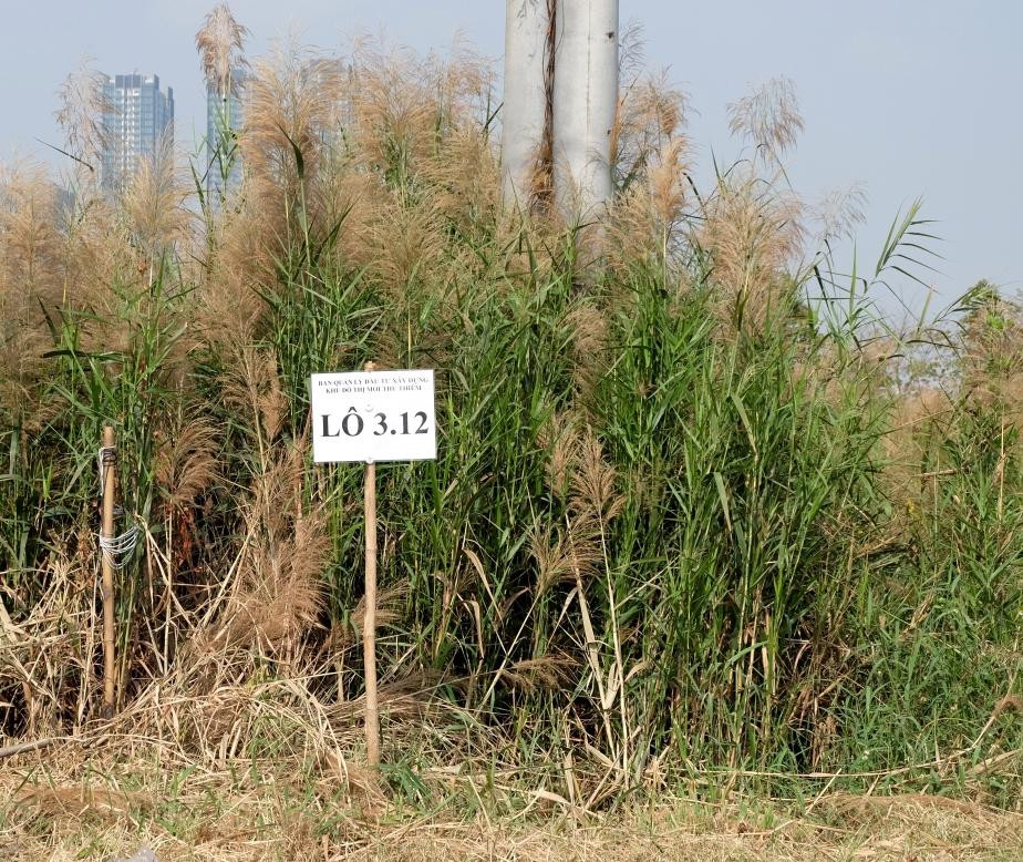 UBND TPHCM đã ra quyết định hủy kết quả đấu giá lô đất 3-12 của Công ty TNHH Đầu tư Bất động sản Ngôi Sao Việt.