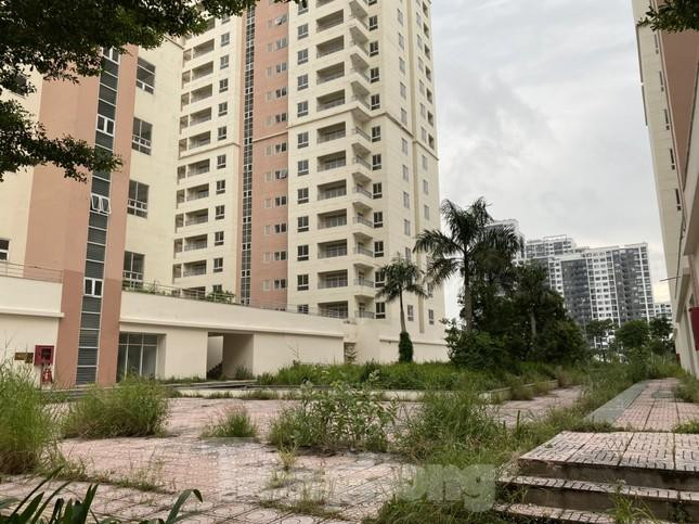 Trung tâm Cấp cứu 115 cũng được huy động và chịu trách nhiệm bố trí các kíp cấp cứu và xe cấp cứu thường trực 24/7 tại các bệnh viện dã chiến để kịp thời vận chuyển người bệnh chuyển nặng đến các bệnh viện chuyên tiếp nhận điều trị COVID-19 ở tầng 2 hoặc tầng 3.