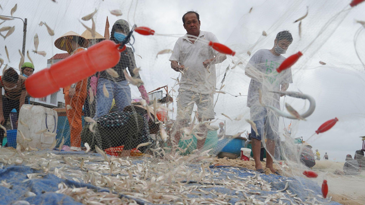Người ít nhất cũng được vài triệu đồng. Người ít nhất cũng được vài triệu đồng.