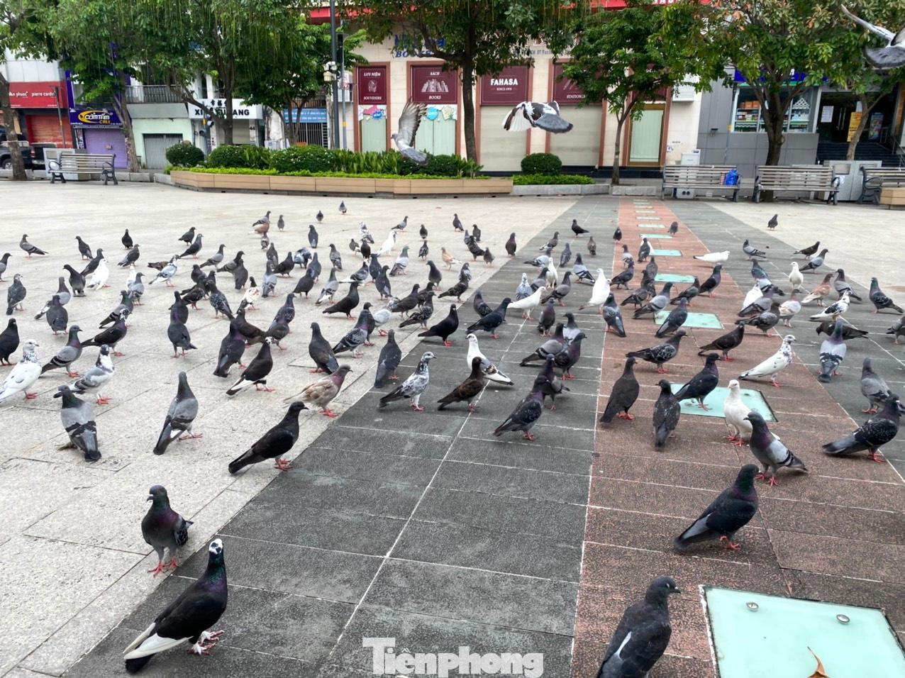 Đây là hình ảnh ít thấy trong ngày Sài Gòn quay cuồng với nhịp sống sôi động. Đây là hình ảnh ít thấy trong ngày Sài Gòn quay cuồng với nhịp sống sôi động.