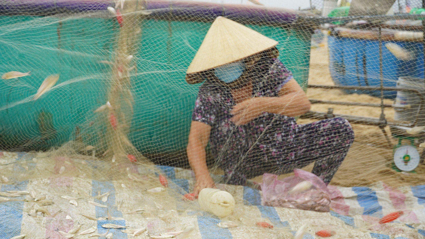 Việc ra khơi trong thời điểm này được chính quyền địa phương phát thẻ theo ngày chẵn lẻ, nhằm đảm bảo phòng chống dịch. Việc ra khơi trong thời điểm này được chính quyền địa phương phát thẻ theo ngày chẵn lẻ, nhằm đảm bảo phòng chống dịch.