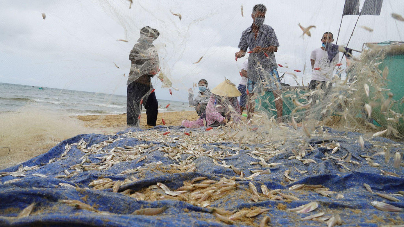 Trong ngày đầu tiên được đánh bắt trở lại, hầu hết ngư dân đều tuân thủ quy định phòng dịch theo quy định. Trong ngày đầu tiên được đánh bắt trở lại, hầu hết ngư dân đều tuân thủ quy định phòng dịch theo quy định.