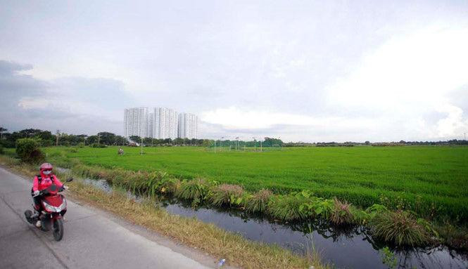 Ban hành chưa được 1 tháng, bảng giá đất nông nghiệp ở TPHCM đã lạc hậu. Ban hành chưa được 1 tháng, bảng giá đất nông nghiệp ở TPHCM đã lạc hậu.