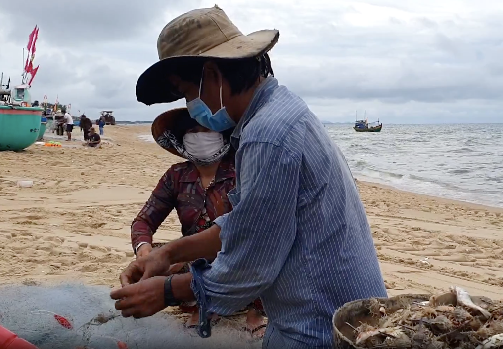 Sau chuyến đi biển đầu tiên, ngư dân trúng đậm chủ yếu là các loại cá mai, cá bạc má và một số ít ghẹ xanh, tôm. Sau chuyến đi biển đầu tiên, ngư dân trúng đậm chủ yếu là các loại cá mai, cá bạc má và một số ít ghẹ xanh, tôm.