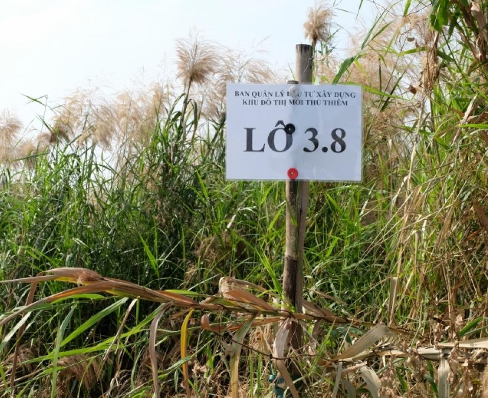 Hai công ty trúng đấu giá đất Thủ Thiêm chưa nộp tiền đúng hạn Hai công ty trúng đấu giá đất Thủ Thiêm chưa nộp tiền đúng hạn