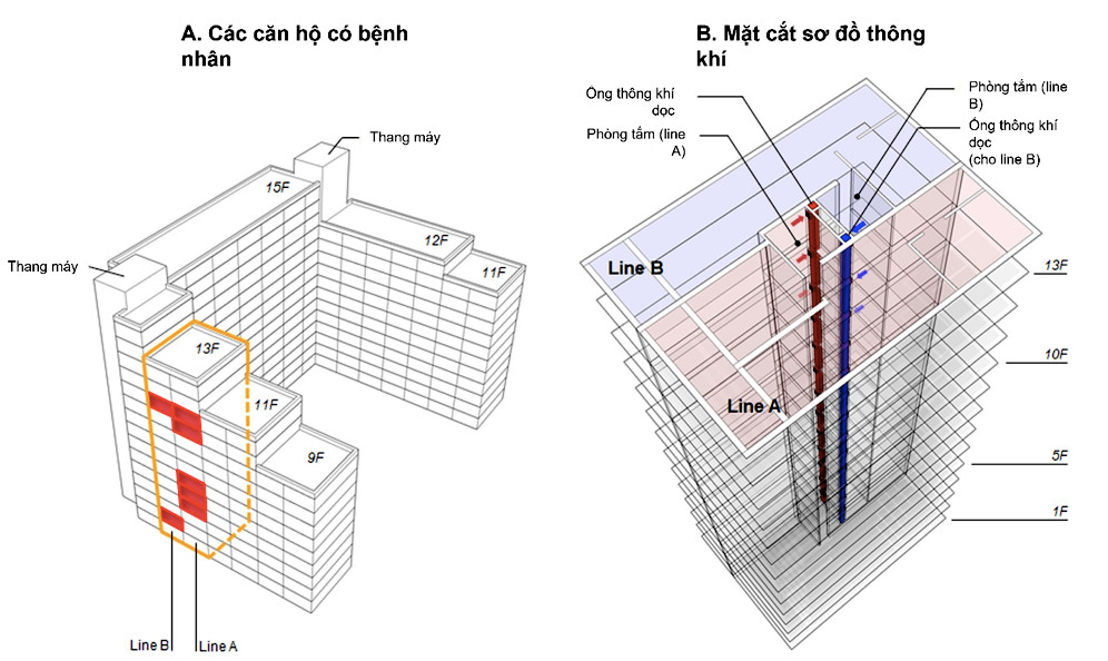 Kiến trúc của khu chung cư nơi phát hiện các ca nhiễm theo hai dọc thẳng. Các căn hộ có ca nhiễm (A) và Sơ đồ các tầng (B).