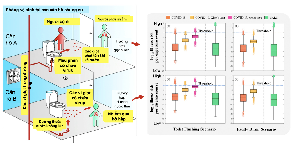 Các trường hợp phát tán virus có thể xảy ra tại chung cư (trái) và khả năng nhiễm bệnh (phải) tại các căn hộ chung cư.