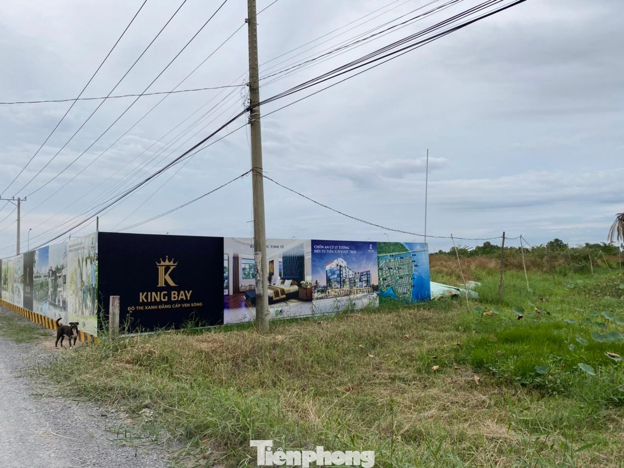 Dự án King Bay với tổng diện tích 125ha nằm ở huyện Nhơn Trạch, tỉnh Đồng Nai do Công ty CP Free Land làm chủ đầu tư.