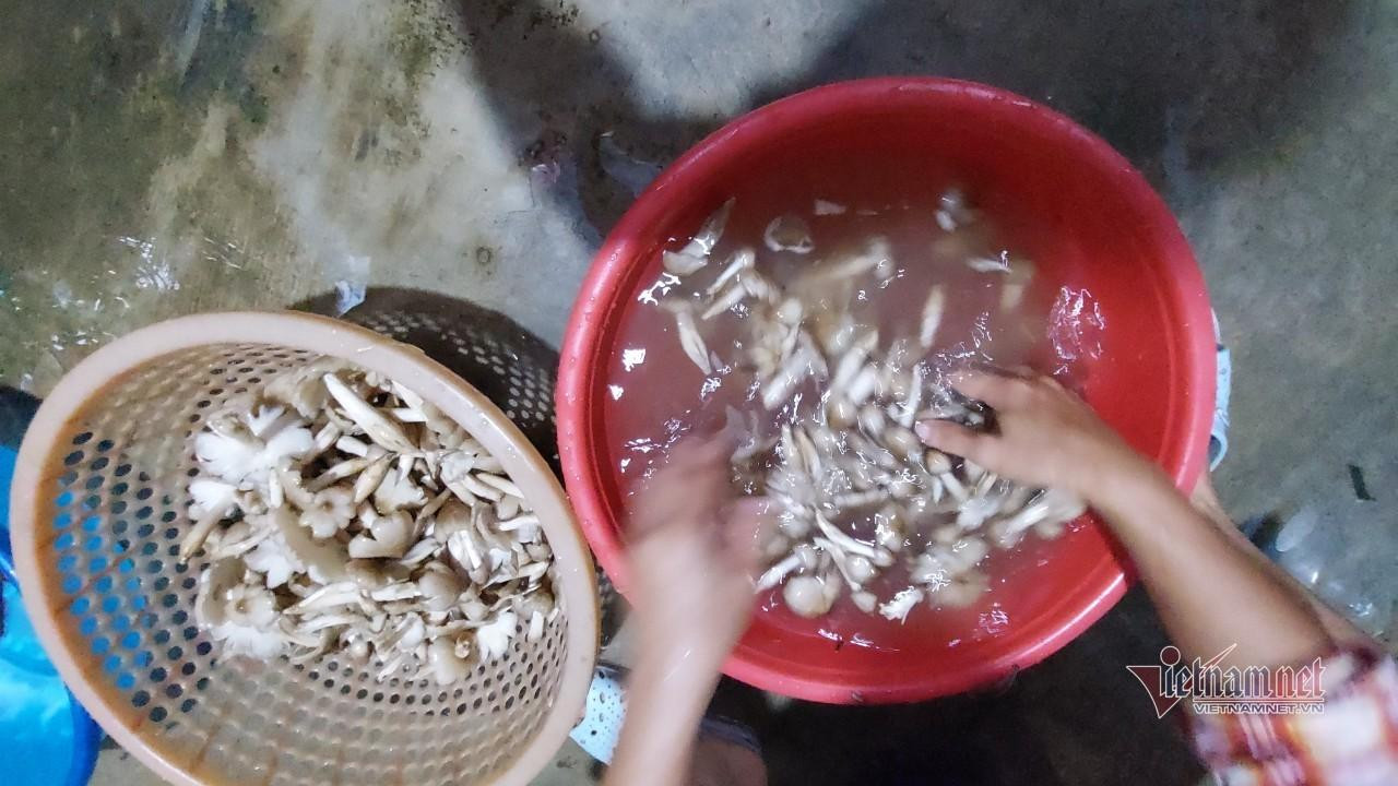 Sơ chế nấm mối