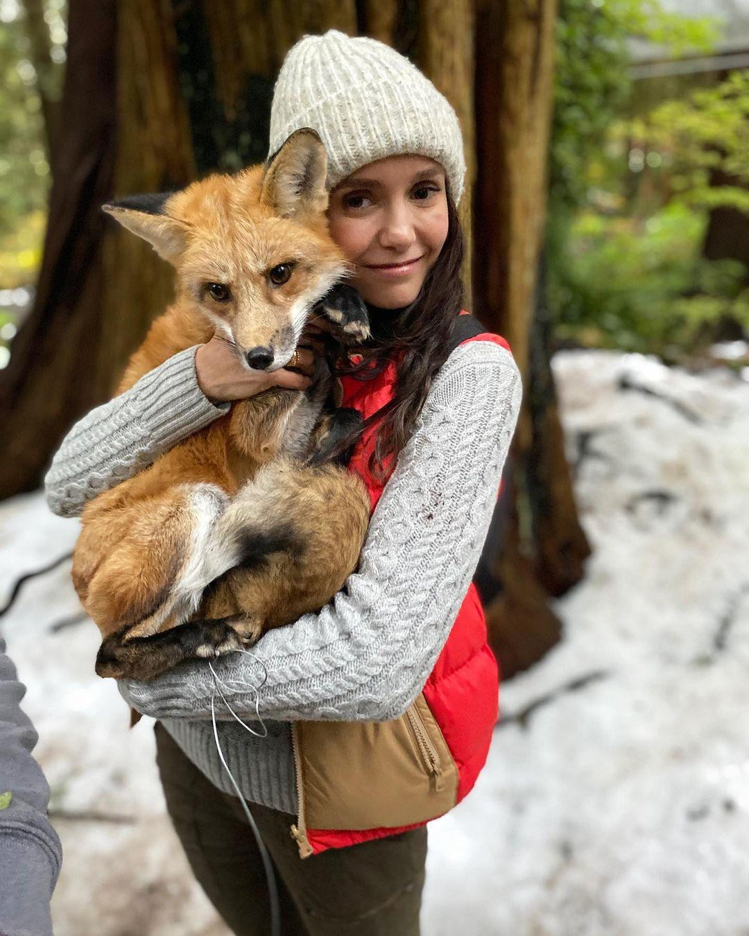 Nina Dobrev ôm một con cáo trên phim trường "The Out-Laws" và tuyên bố nó là bạn diễn yêu thích nhất của cô. Nina Dobrev ôm một con cáo trên phim trường "The Out-Laws" và tuyên bố nó là bạn diễn yêu thích nhất của cô.