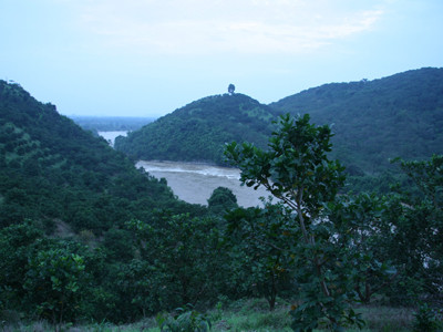 Đặt thủy điện ĐN 6&6A ở VQG Cát Tiên là đánh vào điểm nhạy cảm nhất của đa dạng sinh học toàn Nam Bộ, gây tổn thất to lớn về kinh tế xã hội mà không biện pháp nào có thể bù đắp nổi”, Ngụy Thị Khanh, Giám đốc Trung Tâm Sáng Tạo & Phát triển Xanh (GreenID). Trong ảnh là đoạn sông Đồng Nai sau khi qua VQG Cát Tiên. Ảnh: Q.D