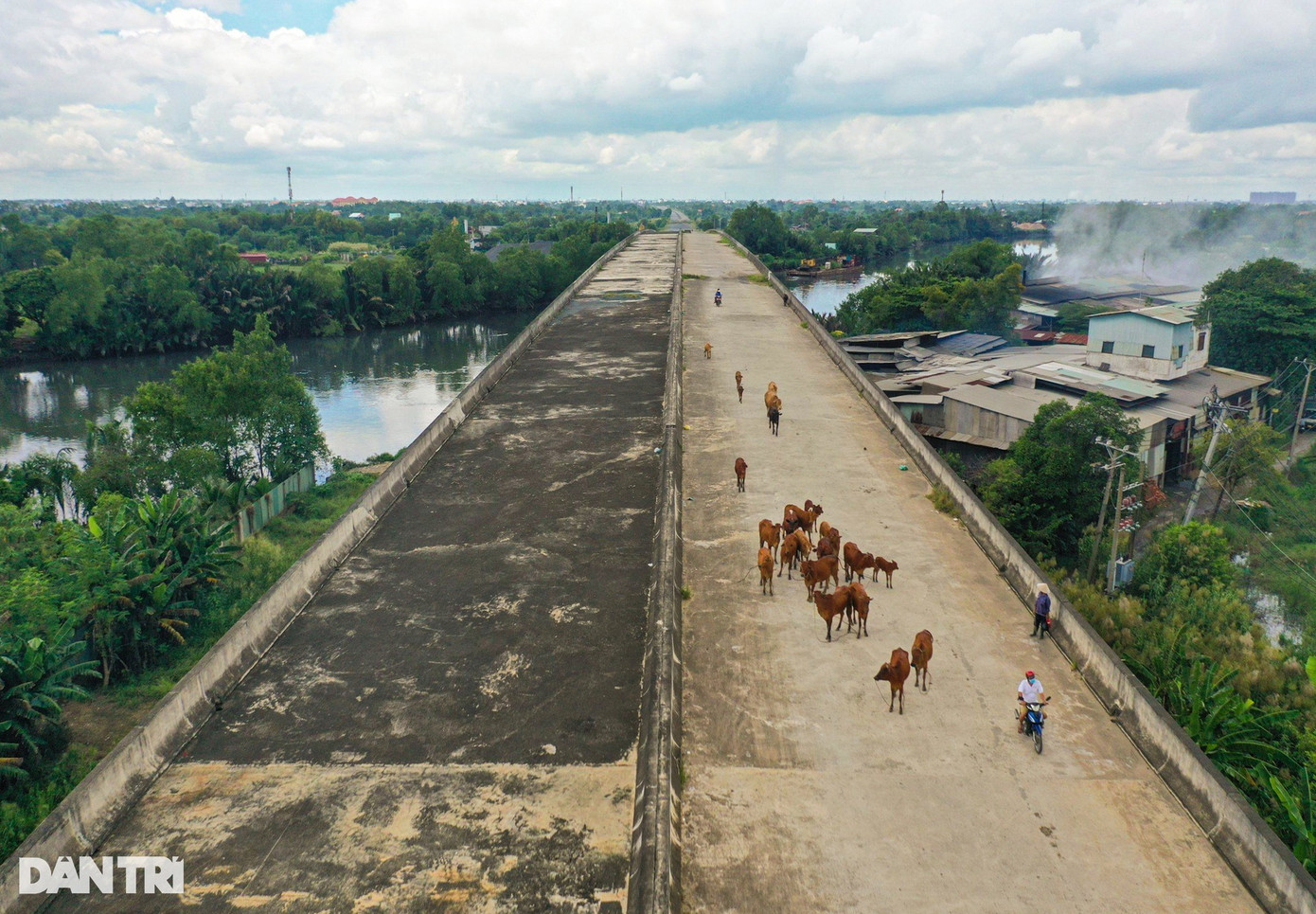 Một cây cầu thuộc cao tốc bắc qua con kênh lớn nằm cách nút giao quốc lộ 50 khoảng 500m chỉ mới hoàn thành kết cấu chính, nền bê tông đã bị rêu hóa, người dân chạy xe máy, thả bò qua lại tự do trên cầu. Một cây cầu thuộc cao tốc bắc qua con kênh lớn nằm cách nút giao quốc lộ 50 khoảng 500m chỉ mới hoàn thành kết cấu chính, nền bê tông đã bị rêu hóa, người dân chạy xe máy, thả bò qua lại tự do trên cầu.