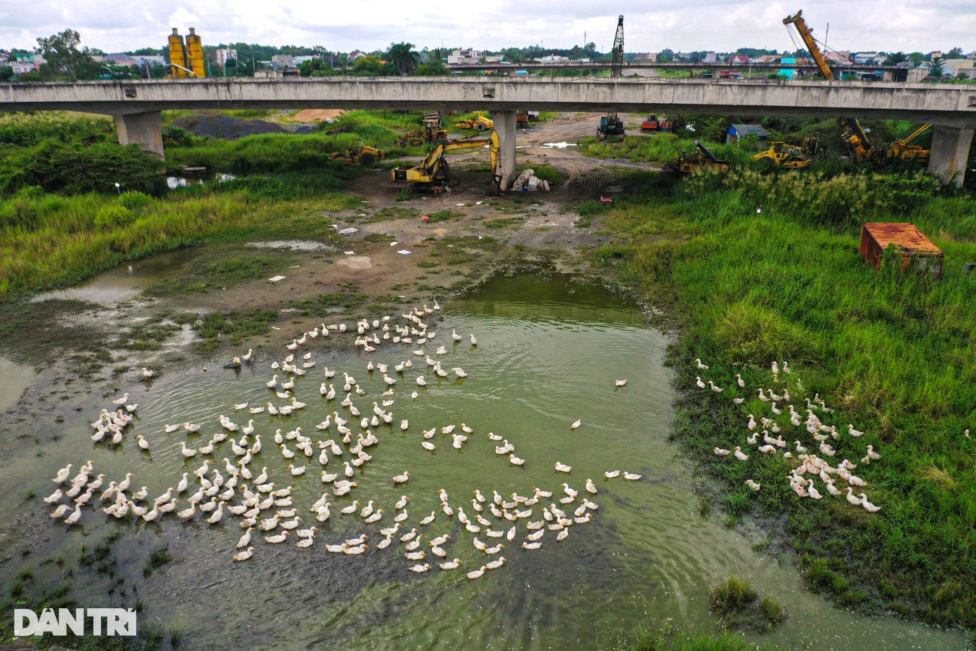 Bên trong khu vực này hiện được bảo vệ công trường tận dụng để làm nơi nuôi vịt. Bên trong khu vực này hiện được bảo vệ công trường tận dụng để làm nơi nuôi vịt.