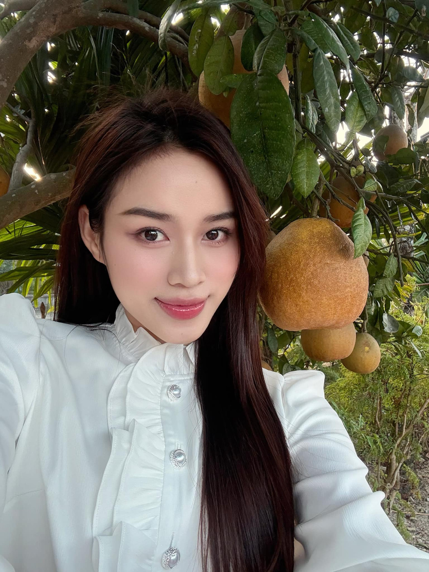 Hoa hậu Đỗ Thị Hà háo hức chụp ảnh bên trong khu vườn trái cây của mẹ ở quê nhà Thanh Hóa.