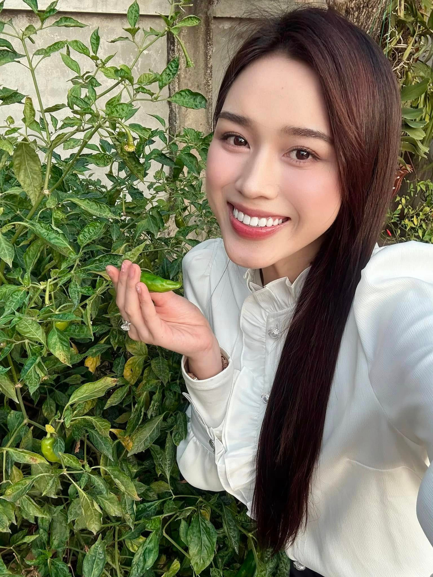 Hoa hậu Đỗ Thị Hà háo hức chụp ảnh bên trong khu vườn trái cây của mẹ ở quê nhà Thanh Hóa.