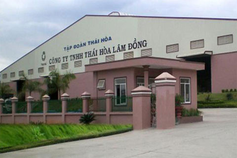 Vốn hóa thị trường của THV đạt gần 50 tỷ, trong khi tổng tài sản trên 1.200 tỷ đồng