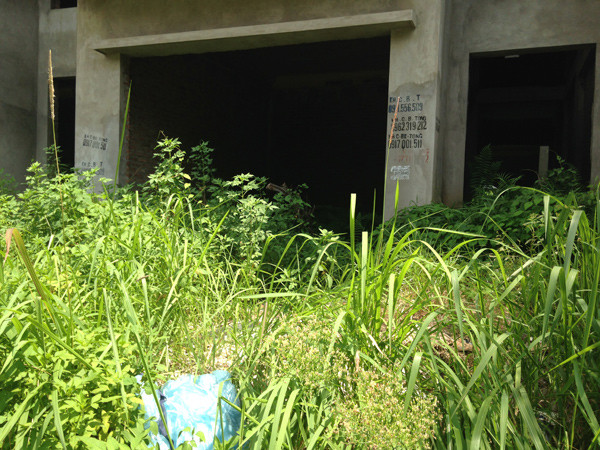 Biệt thự thiếu hạ tầng, mua xong... lỗ ngay tiền tỷ ảnh 1