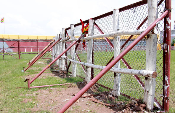 Thắt chặt an toàn sau vụ trâu chọi Đồ Sơn húc chết chủ ảnh 4