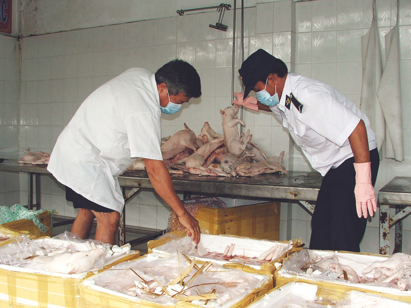 Một lượng lớn thịt thối biến thành 