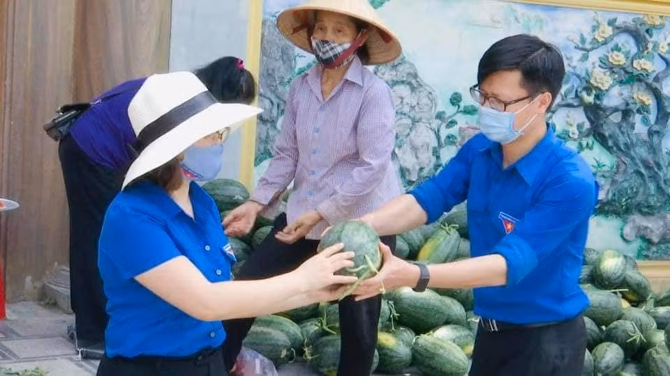 Đoàn viên, thanh niên tham gia chương trình hỗ trợ nông dân vùng dịch tỉnh Bắc Giang tiêu thụ nông sản. Đoàn viên, thanh niên tham gia chương trình hỗ trợ nông dân vùng dịch tỉnh Bắc Giang tiêu thụ nông sản.